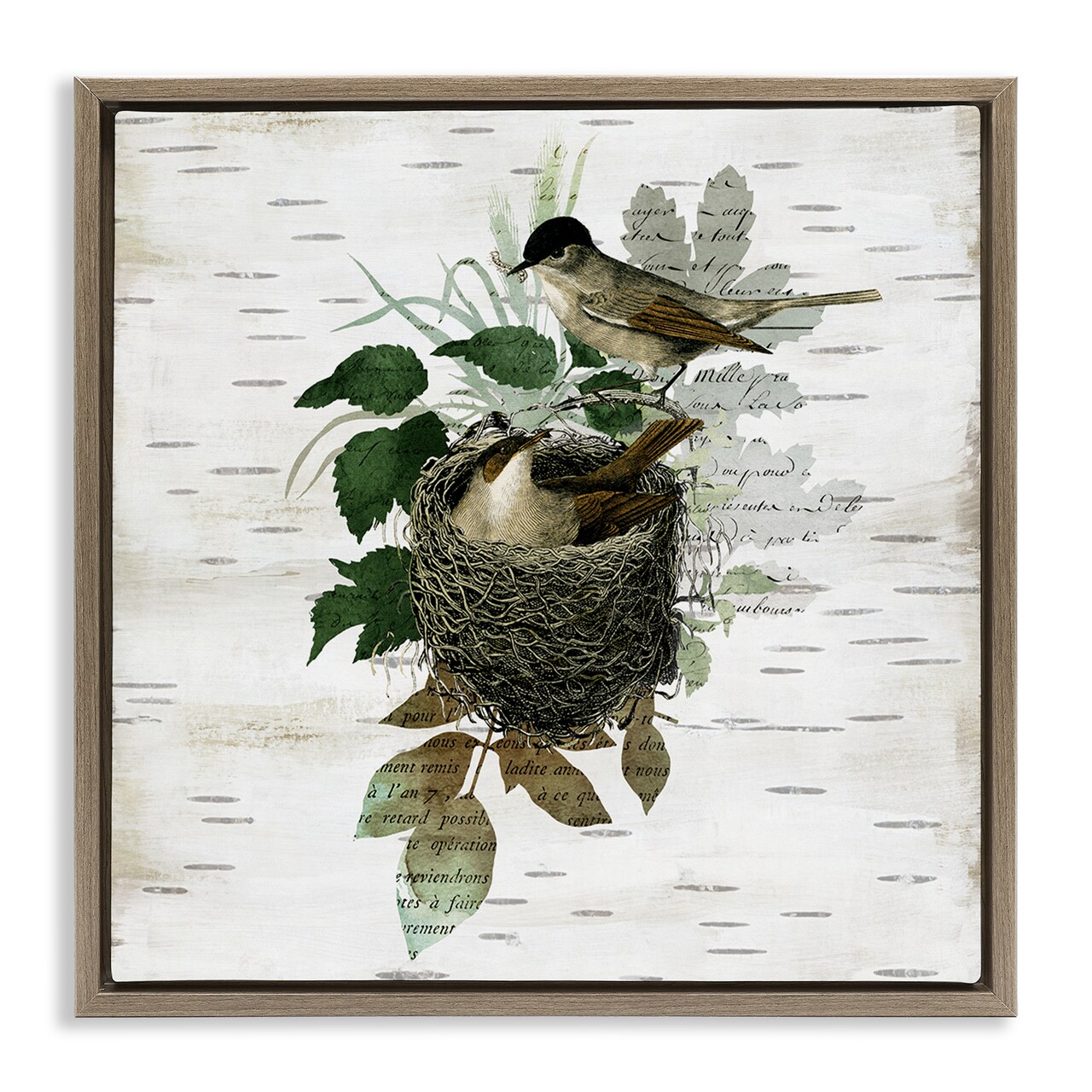 Stupell Industries Birds in Vintage Nest Floating Frame Design by Susan Arnot